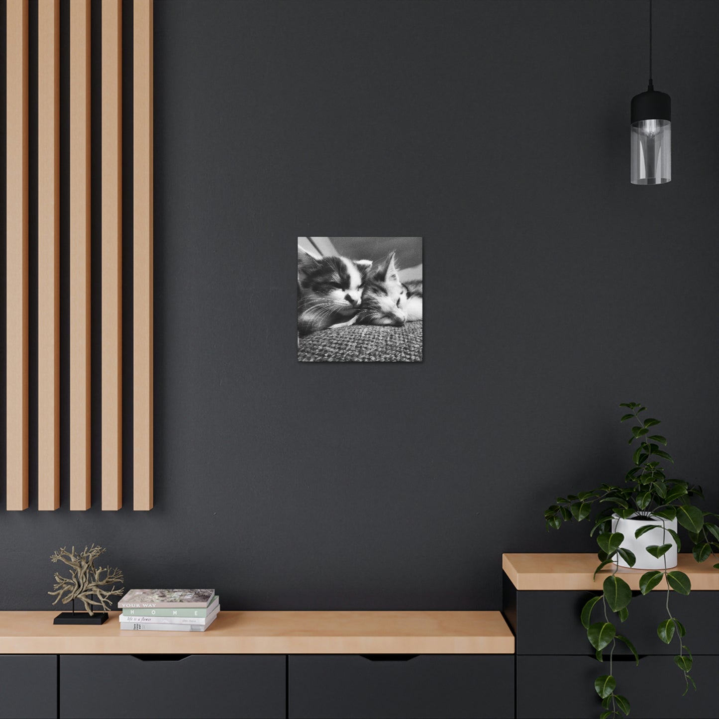 Animal Collection - Canvas Gallery Wraps - Kitten Love